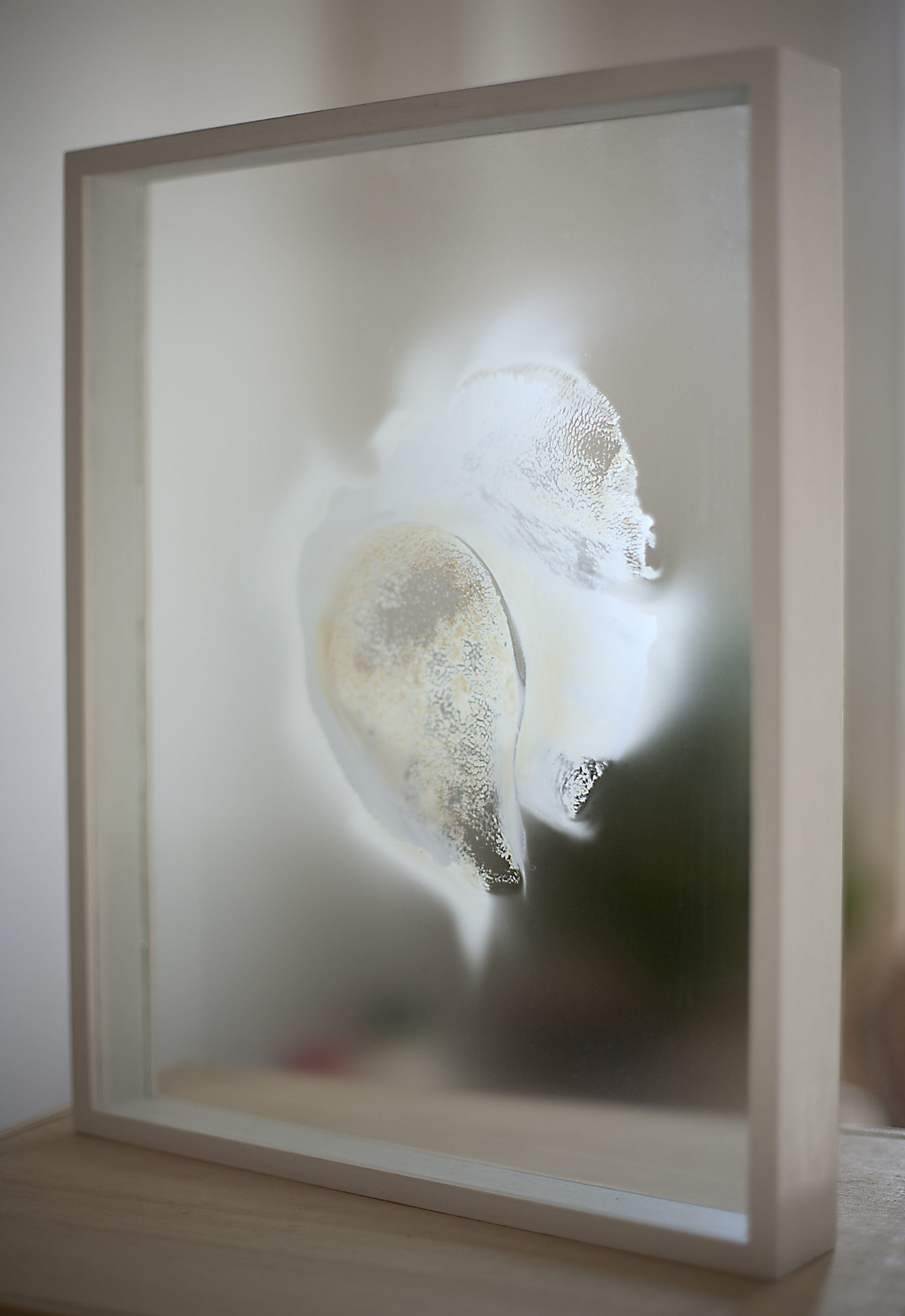 Squame 1, sporée sur verre, 35 x 28 cm, 2018